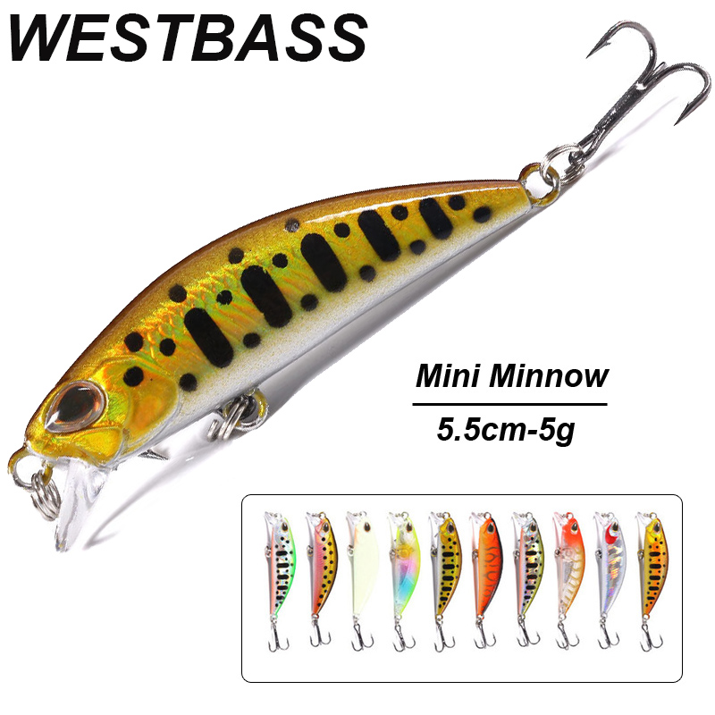 WESTBASS 1PX Micro Minnow Lure - Fishing Lure Popper avis et prix