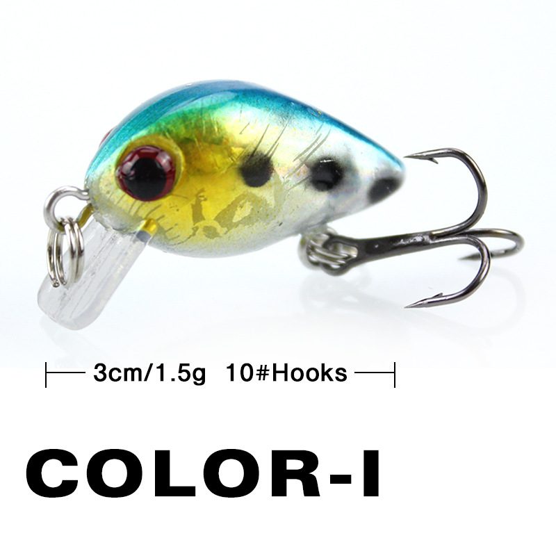 Fishing Lure Small Minnow Mini - Fishing Lure Making Kit avis et prix