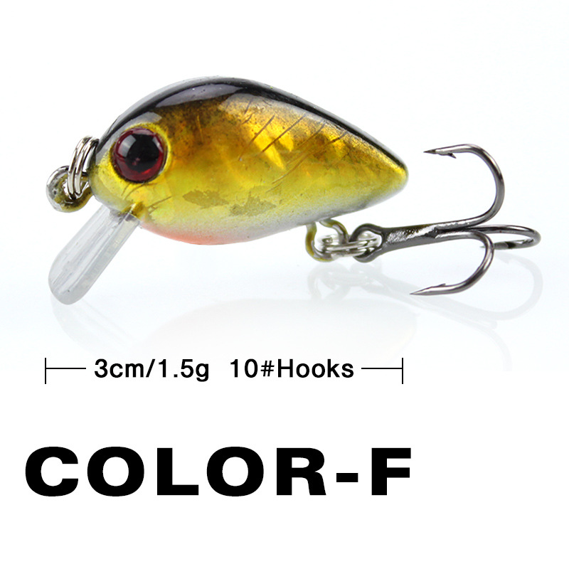Fishing Lure Small Minnow Mini - Fishing Lure Making Kit avis et prix