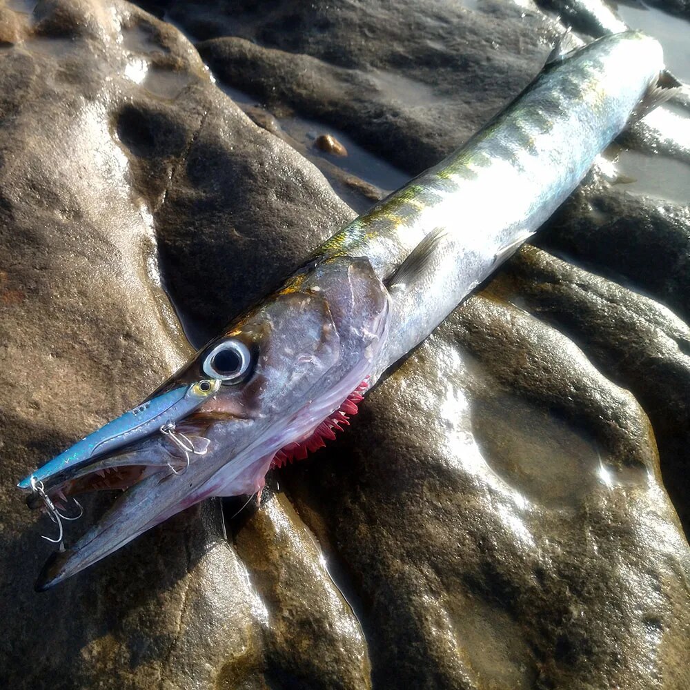 GOBAIT VIB Fishing Lure 20g 25 - Fishing Lure Blade Bait avis et prix