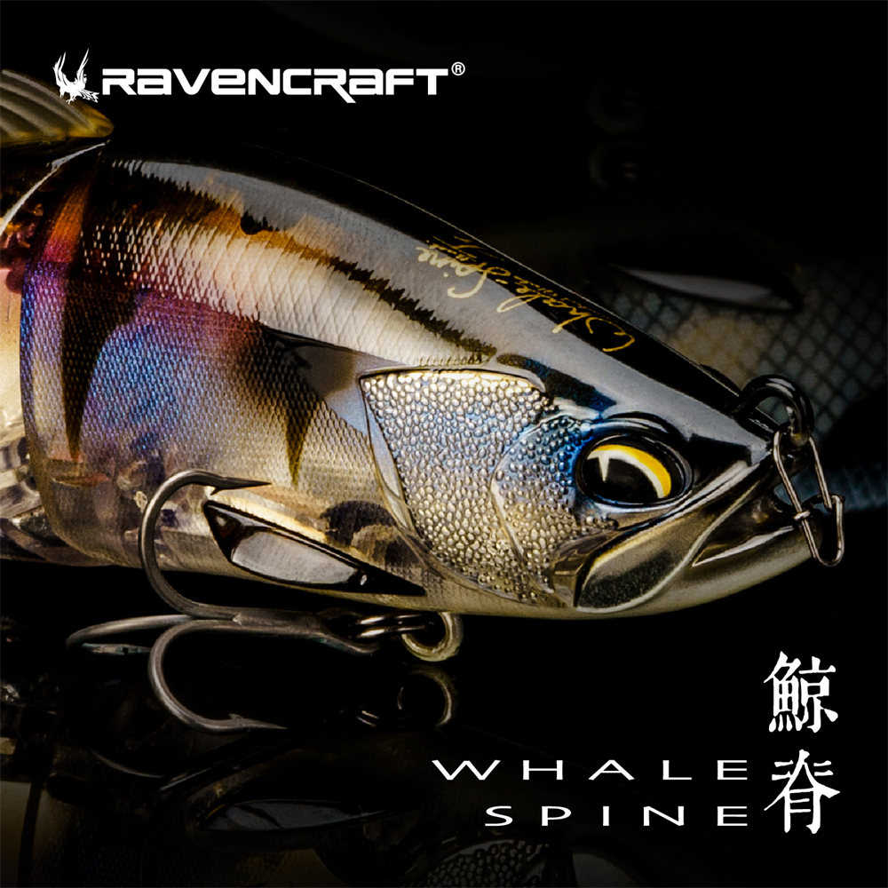 Ravencraft Whale-Spine JR 109m - Fishing Lure Popper avis et prix