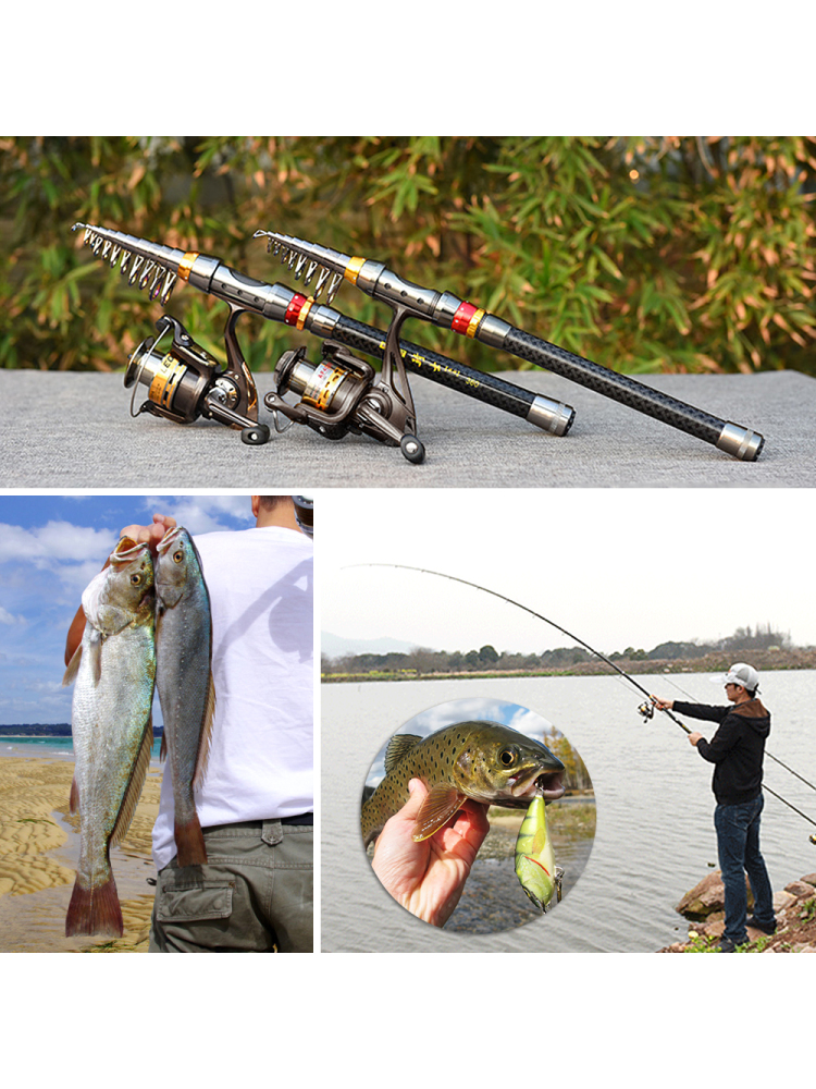 Fishing Rod Spinning Reel Comb - Fishing Lure Jig avis et prix